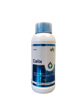 Calix