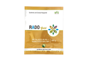 Rado Gold