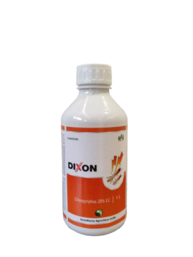 Dixon