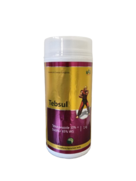 Tebsul