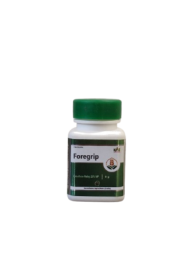 Foregrip