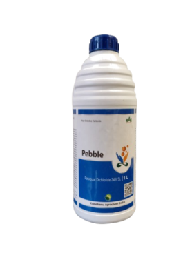 Pebble
