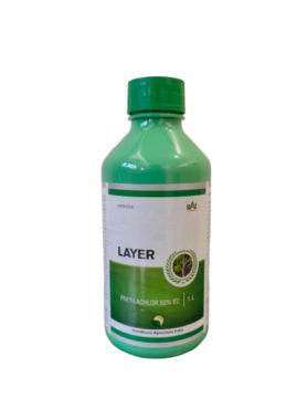 Layer