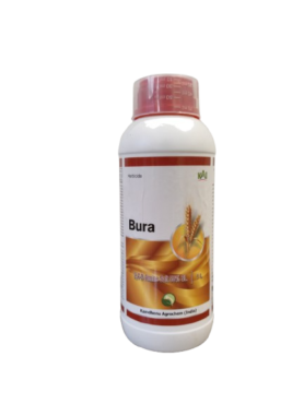 Bura