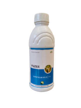 Fuzee