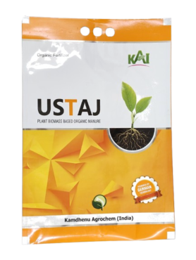Ustaj