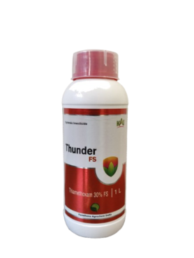 Thunder